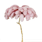 Unique Ostrich Feather Floor Lamp/Table Lamp🔥