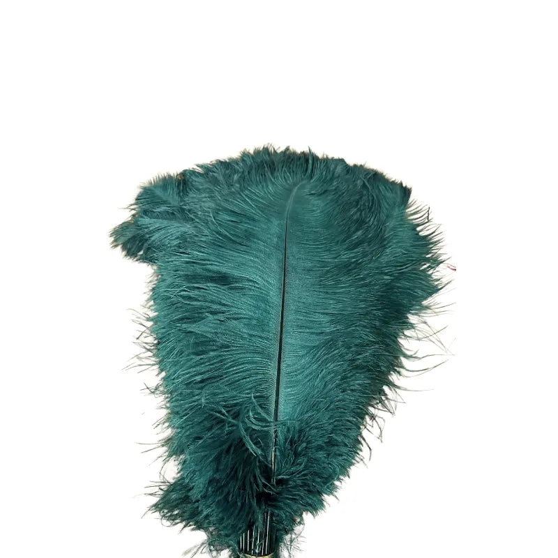 Unique Ostrich Feather Floor Lamp/Table Lamp🔥