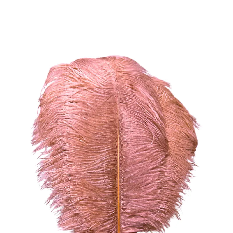 Unique Ostrich Feather Floor Lamp/Table Lamp🔥