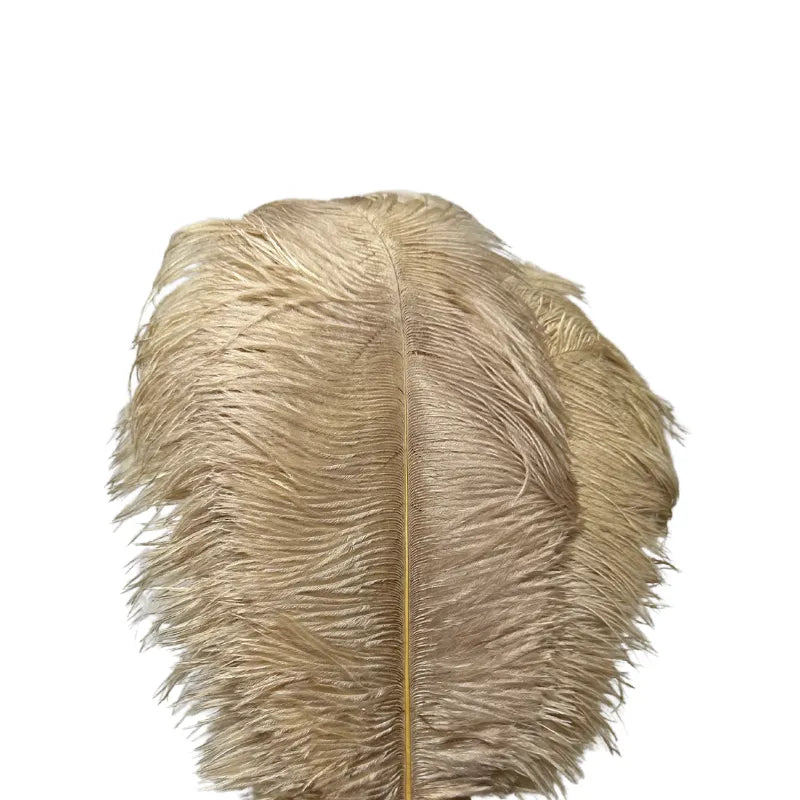 Unique Ostrich Feather Floor Lamp/Table Lamp🔥