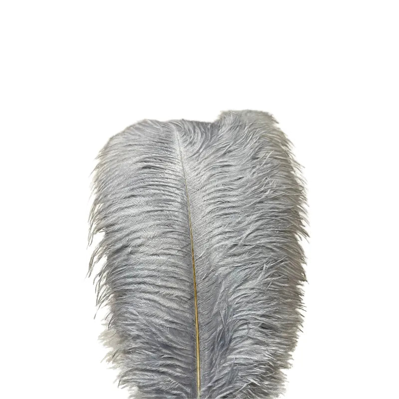Unique Ostrich Feather Floor Lamp/Table Lamp🔥