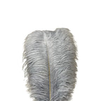 Unique Ostrich Feather Floor Lamp/Table Lamp🔥