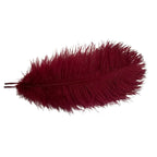 Unique Ostrich Feather Floor Lamp/Table Lamp🔥