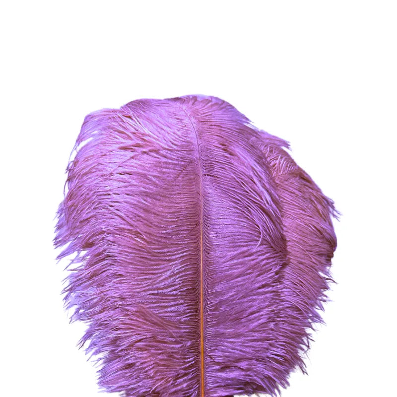 Unique Ostrich Feather Floor Lamp/Table Lamp🔥