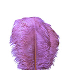 Unique Ostrich Feather Floor Lamp/Table Lamp🔥