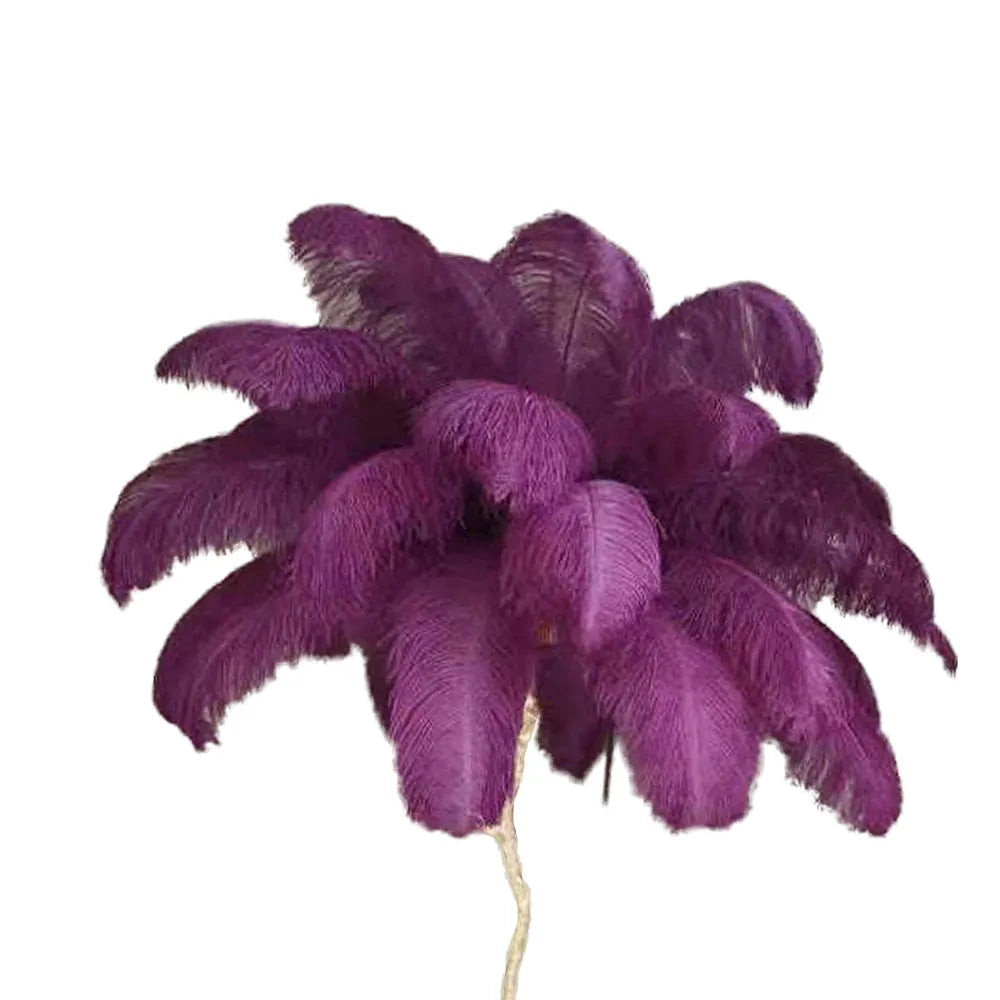 Unique Ostrich Feather Floor Lamp/Table Lamp🔥