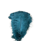 Unique Ostrich Feather Floor Lamp/Table Lamp🔥