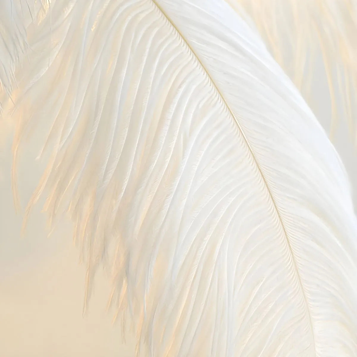 Unique Ostrich Feather Floor Lamp/Table Lamp🔥
